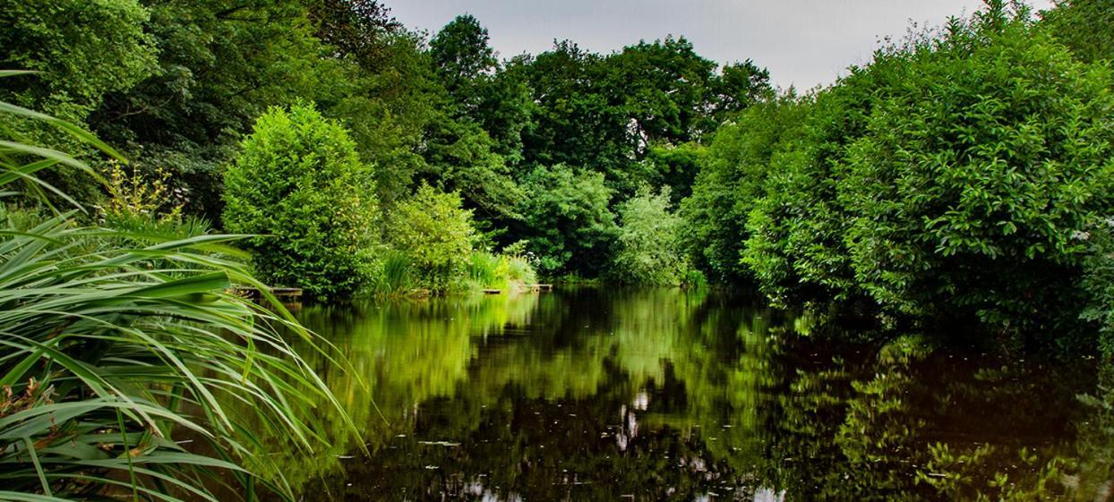 Lloyds Meadow Glamping Hotell Chester Exteriör bild